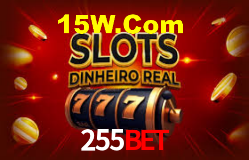Interface Premium 255Bet